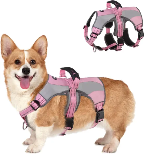 Miniatura 7 de Mihachi Arnés para perros pequeños, chaleco de servicio sin tirones a prueba de escapes, con tiras reflectantes y asa de control, ajustable