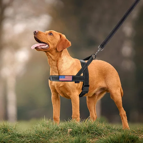 Miniatura 6 de Annchwool Arnés sin tirones para perro, con mango acolchado suave, tira reflectante a prueba de fugas y ajuste rápido para ajustar el arnés del Negro