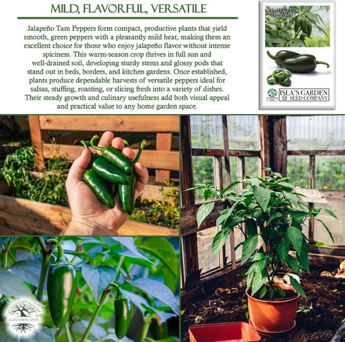 Miniatura 5 de Semillas de pimientos picantes Jalapeño Tam para plantar, más de 50 semillas tradicionales por paquete, semillas de jardín de Isla