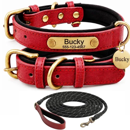 Miniatura 18 de Collar de cuero para perro personalizado y juego de correa, personalizado con diseño acolchado suave y resistente con placa de nombre grabada