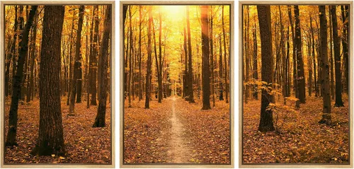 Miniatura 104 de wall26 Lienzo enmarcado para pared, juego de arte de noche estrellada sobre montañas, cielo nocturno tranquilo, naturaleza, desierto, fotografía