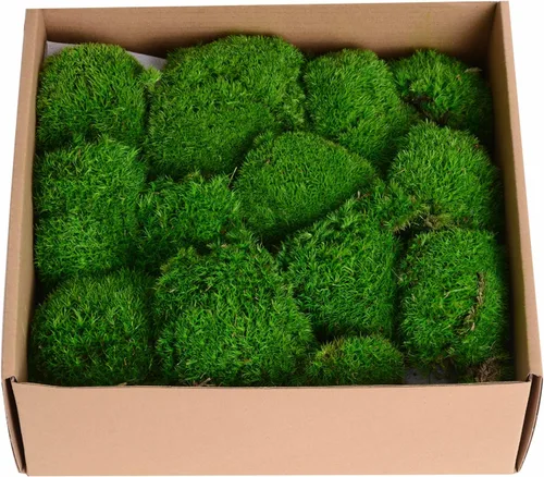 Musgo decorativo de musgo preservado de 1.5 pies cuadrados para manualidades, arte, decoración de pared, verde oscuro