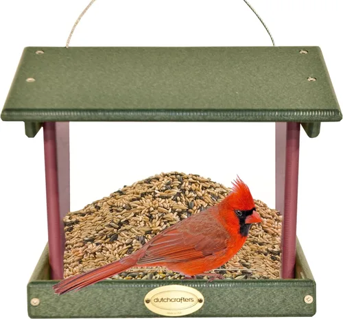 DutchCrafters Comedero grande de plástico colgante para pájaros – Comedero para pájaros con tolva cubierta de polietileno para aves silvestres al