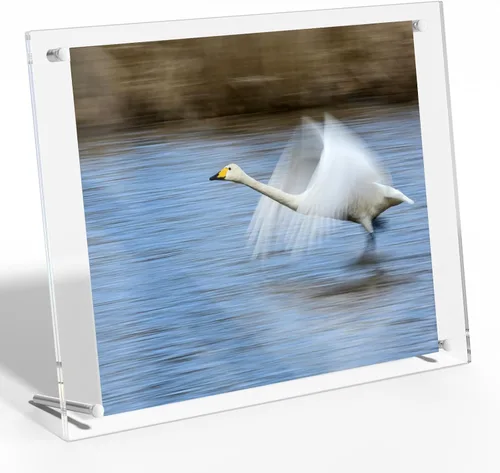 Miniatura 8 de NIUBEE Marco de fotos acrílico transparente de 4 x 6 pulgadas, pantalla de fotos de plexiglás biselado sin marco con soporte