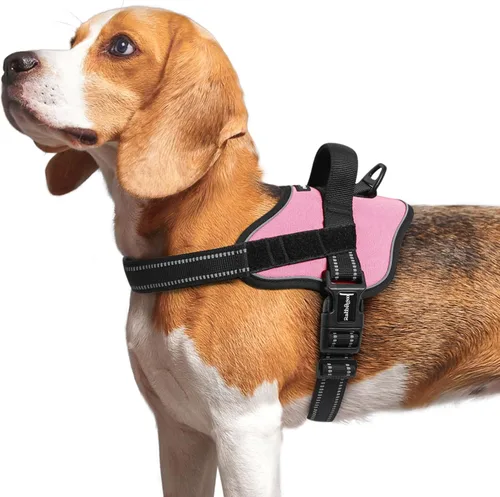 Miniatura 16 de rabbitgoo Arnés para perro de tamaño pequeño, chaleco para mascotas sin tirones, sin estrangulamiento, fácil de llevar con una hebilla, reflectante
