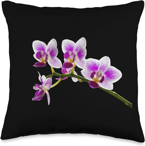 phalaenopsis delicate elegant floral petal flora Almohada de orquídea blanca y morada exótica con flores tropicales, 16 x 16 pulgadas, multicolor