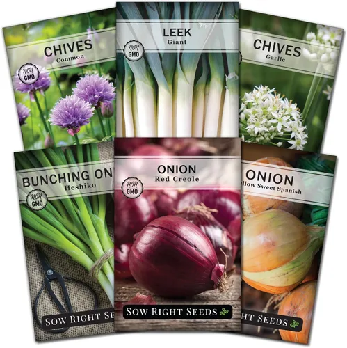 Sow Right Seeds - Colección de semillas de la familia de cebollas para plantar - 6 variedades de cebollino y cebollas - Resistente y sabroso -