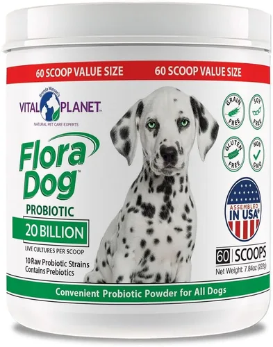 Vital Planet - Suplemento probiótico en polvo para perros Flora con 20 mil millones de cultivos y 10 cepas, probióticos de apoyo inmunológico y
