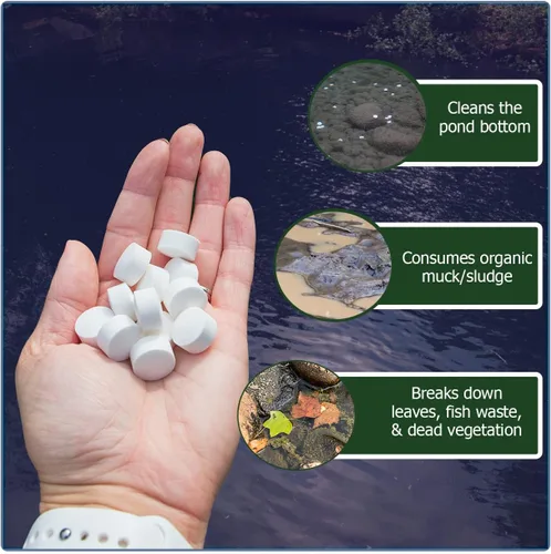 Miniatura 2 de Muck Remover GP - 150 pellets Removedor de lodos de estanque Koi Seguro para peces Trata 5,000 galones hasta 5 meses