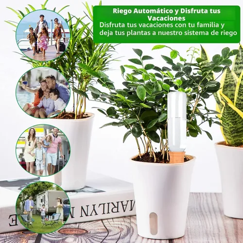 Miniatura 3 de Baxrou Estacas de Autoriego para Plantas Paquete de 12 Picos de Riego de Terracota para Plantas de Interior y Exterior, Dispositivos de Riego