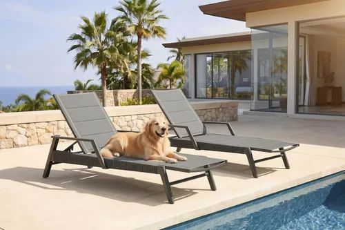 Miniatura 16 de PURPLE LEAF Sillones de día al aire libre con cojín para tomar el sol, tumbonas reclinables para bronceado, juego de 2, aluminio, para patio