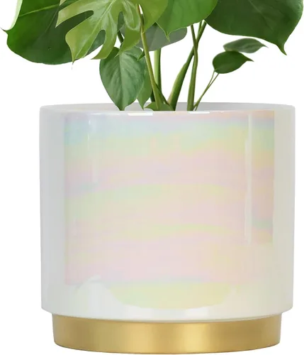 Miniatura 11 de Gepege - Macetas para suculentas para plantas, maceta para suculentas con agujeros de drenaje, maceta de cerámica para plantas de interior, juego
