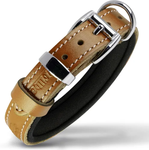 Miniatura 31 de Filbert Collar de cuero para perro, collar de cuero genuino para perros pequeños, estampado de patas en relieve con hebilla, grano completo curtido