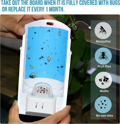 Miniatura 5 de OSVDO Trampa para insectos voladores con luz UV azul, atrapa insectos enchufable con 4 recambios adhesivos durante más de 100 días, atrapa moscas