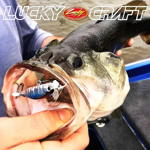 Miniatura 6 de LUCKY CRAFT Puntero de tornillo 80, cebo de pesca Jerkbait