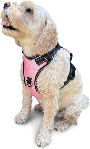 Miniatura 36 de Arnés antitirones para perro pequeño con 2 hebillas de liberación rápida y mango de fácil control, chaleco suave reflectante sin estrangulamiento