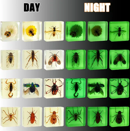 Miniatura 2 de Juego de muestras de insectos, colección de insectos, regalo educativo científico para niños de 3 a 8 a 12 años
