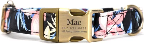 Miniatura 12 de Collar de perro personalizado con nombre y número de teléfono grabado, collar ajustable personalizado para cachorros, collar de algodón orgánico