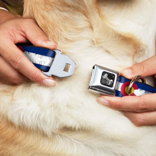 Miniatura 8 de Buckle-Down Collar de perro con diseño de Colorado Flags2 Repeat Weathered de 9-15 pulgadas, talla S