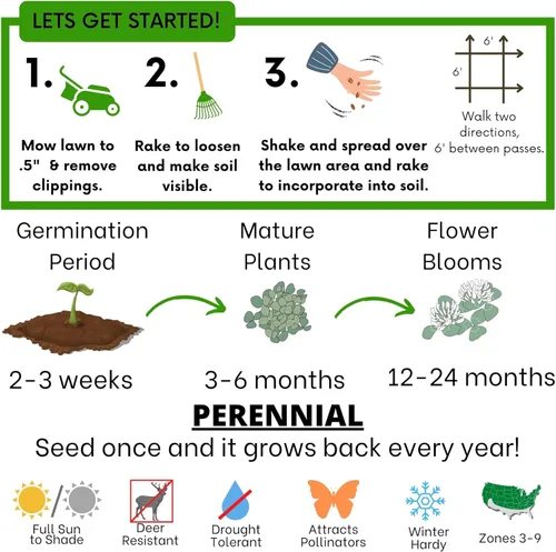 Miniatura 7 de Flawn Seed Kits Semilla de trébol holandés blanco, 1 libra, revestimiento orgánico, césped natural, cubierta del suelo, parcela de alimentos