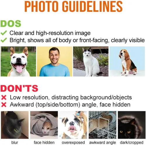 Miniatura 6 de Manta personalizada con fotos de perro, regalos personalizados con foto de mascota, manta de 40 x 50 pulgadas, manta ultrasuave de doble cara