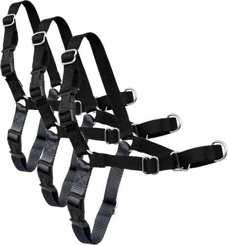 Miniatura 15 de Arnés de paseo fácil de PetSafe, Negro/Plateado