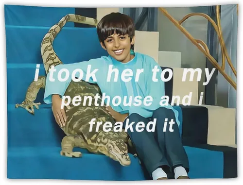 BionZax Tapiz Ravi con texto en inglés "I Took Her To My Penthouse and I Freaked It Ravi para dormitorio, estético, divertido y meme, para