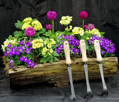 Miniatura 3 de DeWit Daisy Grubber - Removedor de malezas bio para dientes de león y malas hierbas resistentes, acero de boro endurecido con mango de madera