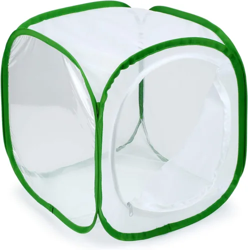 Miniatura 13 de RESTCLOUD - Jaula de hábitat para insectos y mariposas, 23.6 pulgadas de alto Blanco con verde