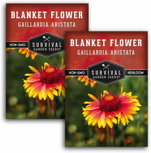 Miniatura 11 de Survival Garden Seeds - Semillas de flores para plantar - Paquete con instrucciones para plantar y cultivar Gaillardia Pulchella en el huerto de tu