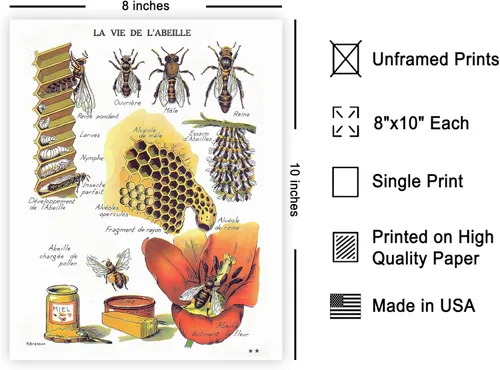 Miniatura 2 de Poster Master Póster vintage de miel, impresión retro de La Vie De L'Abeille, arte de panal de abeja, arte de pared de abeja, regalo para hombres
