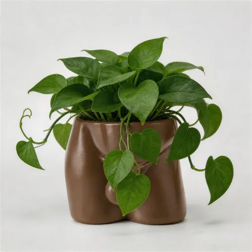 Miniatura 8 de Jarrones de cuerpo para decoración - Maceta de pene, macetas de cuerpo masculino - Jarrón de pene gracioso, maceta para suculentas y cactus