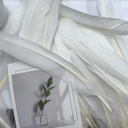 Miniatura 3 de GOODIY 22 plumas largas naturales de 8-10 pulgadas (7.9-9.8 in), hermosas plumas de ganso blanco natural, plumas grandes bilaterales, plumas