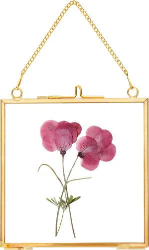 REDHUGO Marcos de flores prensadas de vidrio, marcos de fotos colgantes vintage con cadena, marco de fotos flotante de latón hecho a mano, muestra