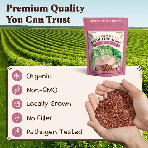 Miniatura 6 de Seedboy Semillas de rábano orgánicas sin GMO para brotes - Semillas de microverdes cultivadas en EE. UU. - Bolsa de 8 oz produce 8 cuartos / 24