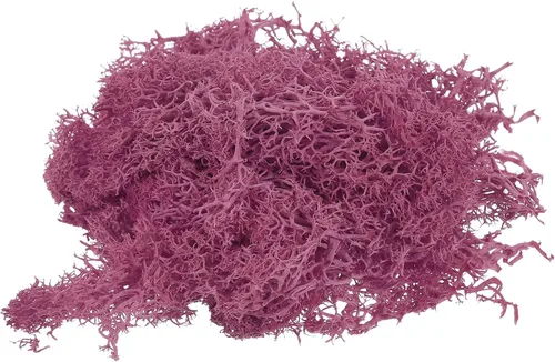 Miniatura 23 de MECCANIXITY Musgo artificial de musgo de 3.5 onzas, musgo artificial preservado natural para manualidades, manualidades, proyectos florales, Negro