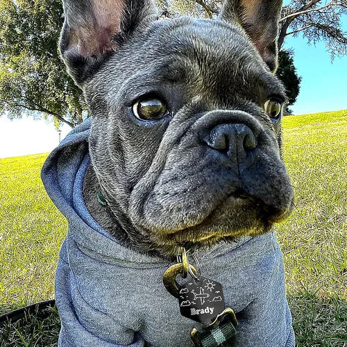 Miniatura 6 de Etiqueta de perro personalizada con 5 líneas de identificación de mascota grabada en profundidad en acero inoxidable duradero con nombre