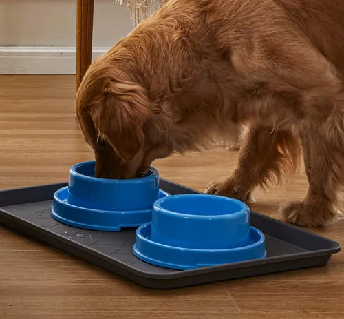 Miniatura 7 de PetLike Paquete de 2 cuencos a prueba de hormigas para perros y gatos, cuencos de agua para alimentos para mascotas con foso, platos antideslizantes