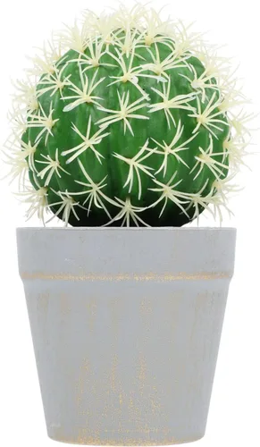 HOMSFOU Cactus en maceta, adornos de oficina, plantas de interior para interiores, macetas pequeñas para interiores, bonsáis de imitación de cactus