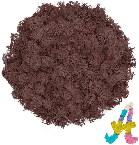 Miniatura 23 de Musgo de reno amarillo preservado de 3.5 onzas para plantas en maceta, decoración artesanal para arte de pared, musgo falso para decoración