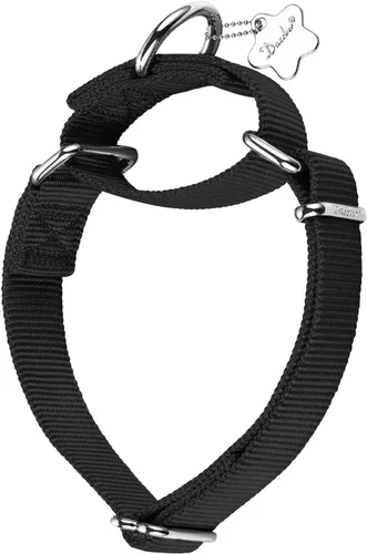 Miniatura 4 de Martingale - Collar para perro, diseño a prueba de fugas y antideslizante, nailon resistente con hebilla de metal, ajustable para perros pequeños