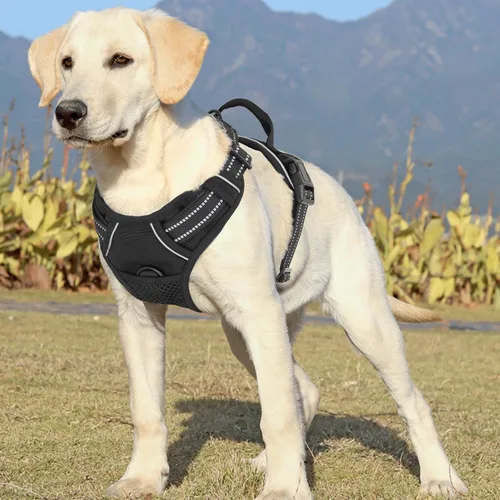 Miniatura 4 de MoNiBloom Arnés reflectante para perro, arnés de chaleco sin tirones con asa, arnés ajustable y acolchado suave para mascotas para perros grandes