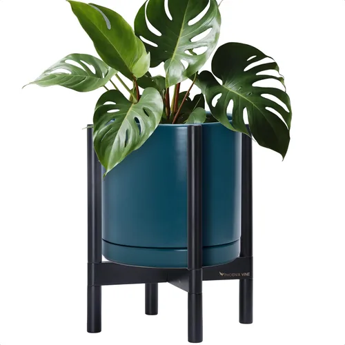 Miniatura 101 de D'vine Dev Maceta de cerámica con soporte de ébano – Maceta redonda moderna de 8 pulgadas con soporte para maceta de madera, color negro, 55-B-M-2