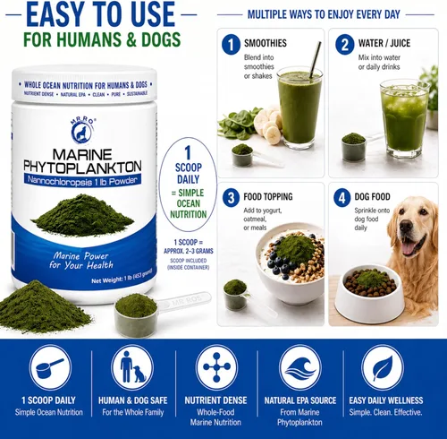 Miniatura 3 de Polvo de fitoplancton marino de 1 libra - Superalimento oceánico denso en nutrientes para humanos y perros - Fuente natural de EPA - Microalgas