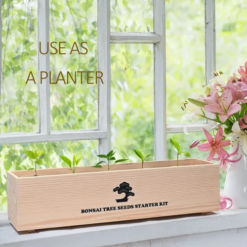 Miniatura 5 de Meekear Kit de árbol bonsái con kit completo de iniciación de crecimiento, gran regalo de bricolaje para cultivar en maceta para adultos
