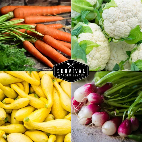 Miniatura 5 de Semillas de verduras para plantar paquete de 10 variedades – Paquetes de semillas de jardín autóctonas para cultivar tomate, lechuga, cebolla