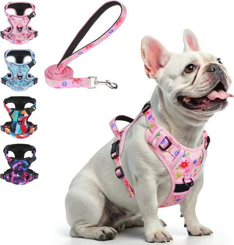 Miniatura 27 de BEAUTYZOO Arnés para perro sin tirones pequeño, juego de arnés y correa ajustable para perro - Fácil de usar con 3 hebillas/mango de control, arnés