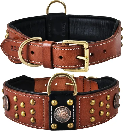 Miniatura 8 de Collar de perro de la serie 'Cupola' de cuero genuino, conchos celtas y remaches de cúpula dorada, acolchado suave, hecho a mano, ideal para razas
