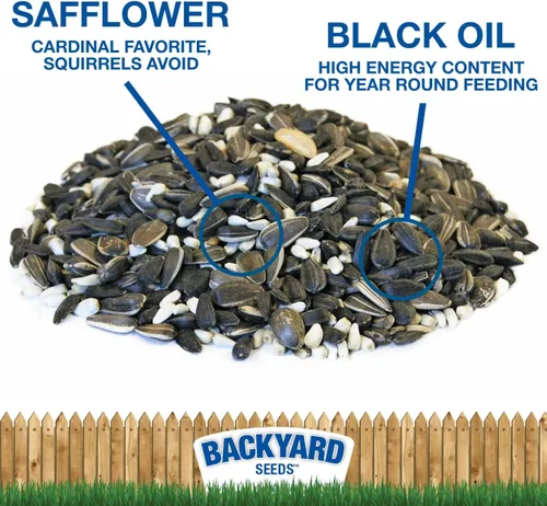 Backyard Seeds - Mezcla de semillas de pájaro Cardinal Frenzy – 5 libras – Mezcla de aceite negro de alta calidad de girasol y cártamo – Alimento