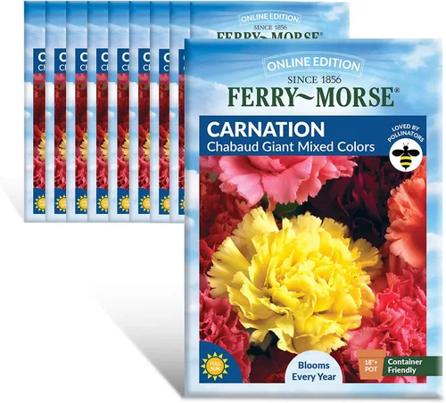 Miniatura 11 de Ferry-Morse Online Edition Tomato Supersweet 100 semillas híbridas – Alta tasa de germinación, sin OGM – Paquete de 8 Tomato Supersweet 100 Hybrid